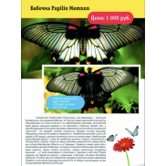 Бабочка Papilio Memnon
